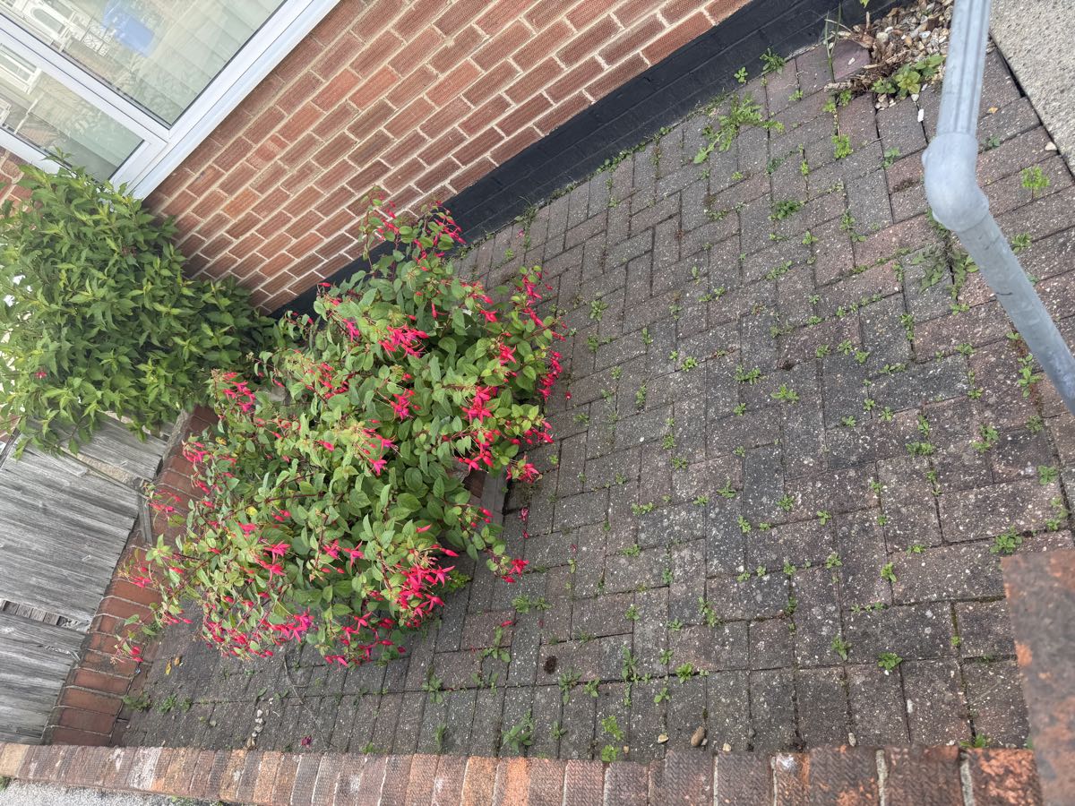 Block-paved driveway after pressure washing in Lowestoft